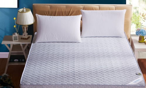 蘇軒家居布藝 產(chǎn)品與店鋪裝修的視覺美學融合